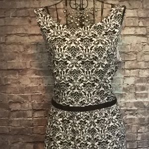 Ann Taylor Loft Black & off white dress